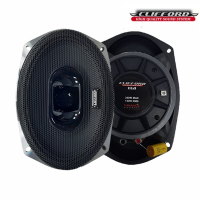 Clifford ES 6x9 Oval Midrange